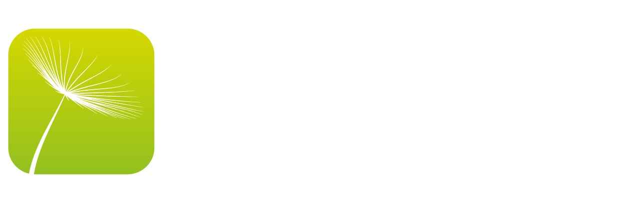 Logo-TICH-CONSULTING